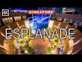 Singapore city night view a stunning visual journey of esplanade theatre 2023