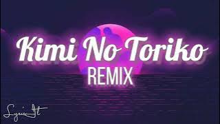 Kimi No Toriko Remix