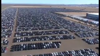フォルクスワーゲン車の「墓場」、米カリフォルニア州に