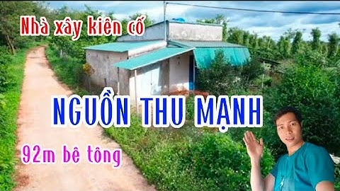 2ha đất đắk nông bằng đẹp,92m bê tông. tiêu,cà phê đẹp nguồn thu mạnh I Tài Nguyên Đất