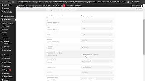Importar productos a tu tienda Woocommerce