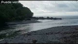 Tsunami causado por la erupción del volcán en Tonga observado en la Isla del Coco