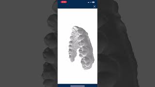 STL File sharing Example Wealth
