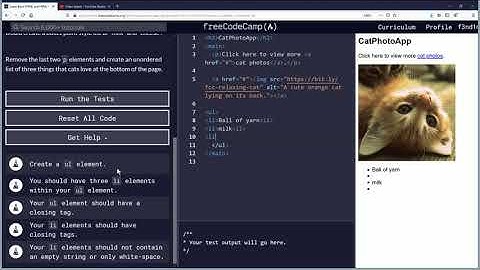Create a Bulleted Unordered List Free Code Camp Org Basic HTML and HTML5