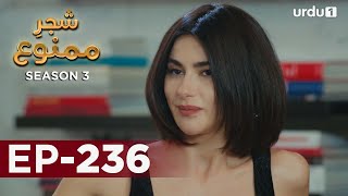 Shajar-e-Mamnu | Episode 236 | Turkish Drama  | Forbidden Fruit | Urdu Dubbing | 4 November 2021