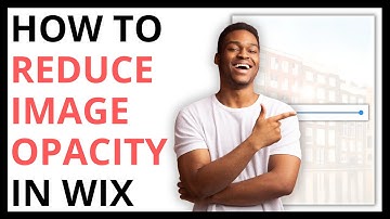 How to Reduce Image Opacity in Wix [QUICK GUIDE]