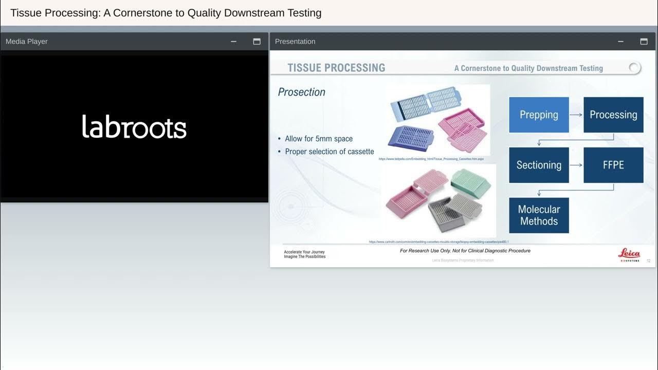 Tissue Processing A Cornerstone to Quality Downstream Testing YouTube