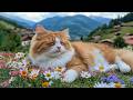 12 Hours Of Calming Music For Cats Slow Ambient Therapy Deep Comfort Sleep Cat TV No Ads