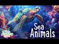 Underwater World Quiz