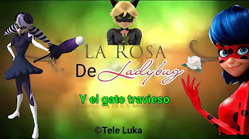 La Rosa de Ladybug Parodia Miraculous ladybug temporada 5,4,3,2 y 1