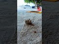 one exit can do tiny shell escape