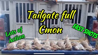 Famous Rabbit hunting in Virginia! Dogs ran great and had rabbits running everywhere Bubs first #cottontail Wealth