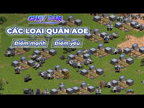 Các Loại Quân