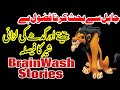 story of a Tiger and donkey