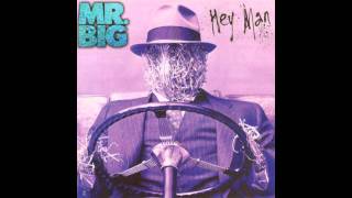 Watch Mr Big Where Do I Fit In video