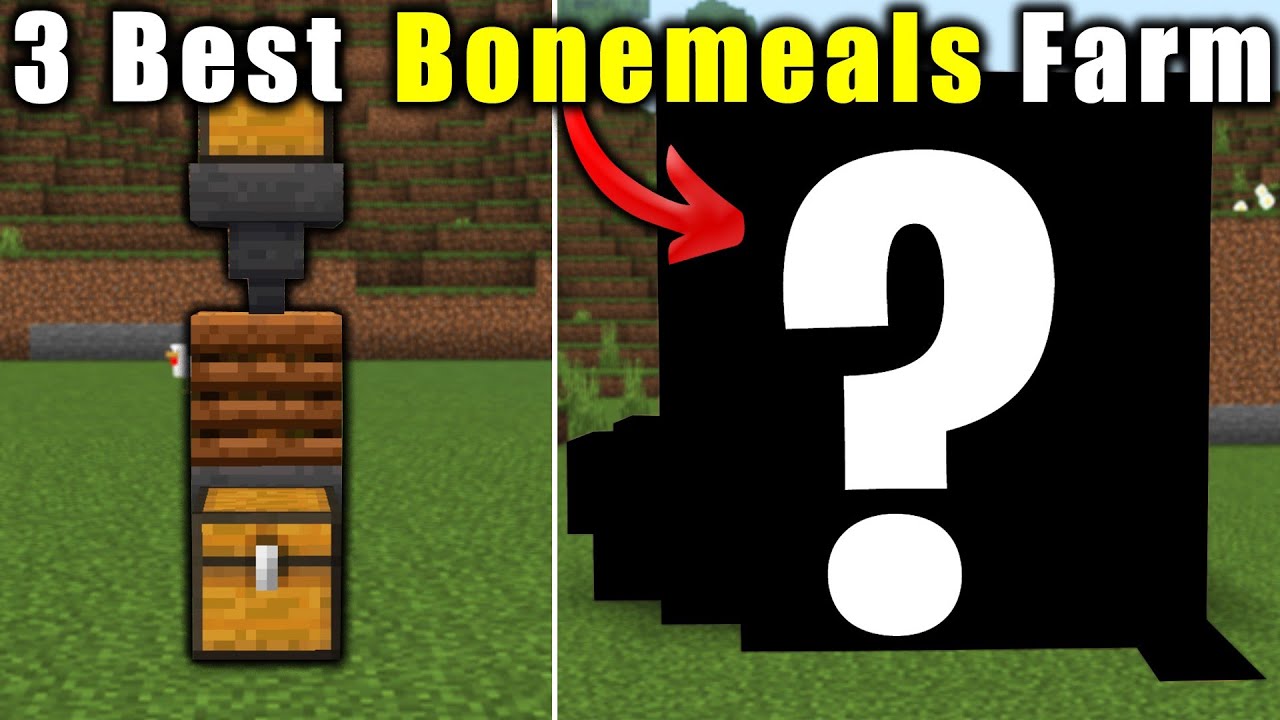 3 Of The Best Bone Meal Farms in Minecraft Bedrock Full Tutorial