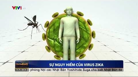 Bệnh virus Zika ở trẻ em