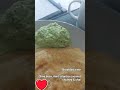 Breakfast time. On the menu - Ghee dosa, mint-cilantro-coconut chutney, chai. Dosa - a type of crepe