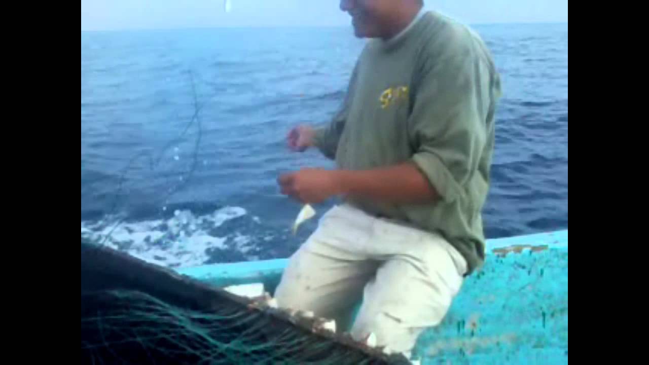 La pesca del palangre YouTube