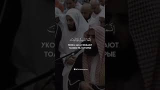 Сура: Ат-Тауба Аяты: 93 Чтец:Мухаммад Люхайдан #коран #аллах #рекомендации