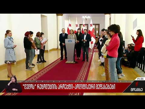 „ლელოს“ რეზოლუციის პროექტი - პოლიტიკური შეფასებები