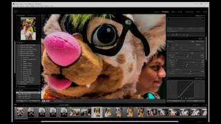 blazeVlogs | Fursuit Photo Editing