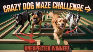 Dog Maze Challenge 😳 | Results Will Surprise You!#dogchallenge #doglife #dogmaze  screenshot 5
