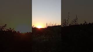 схід сонця, Канів, Лиса гора #music #instrumental#song #україна #ukraine #nature #канів#сонце #схід