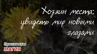 Хозяин Места: увидеть мир новыми глазами