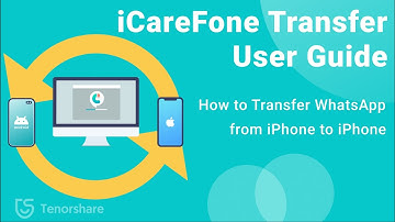 iCareFone Transfer User Guide: How to Transfer WhatsApp from iPhone to iPhone