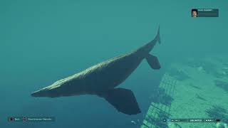 Jurassic World Evolution 2: (Modified) Tylosaurus vs Kronosaurus