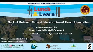 Part 4: The Link Between Natural Infrastructure & Flood Protection  (Wwf & Community International)