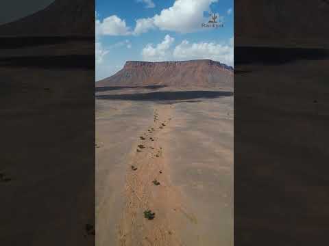 سطح جبل طميه من الأعلى