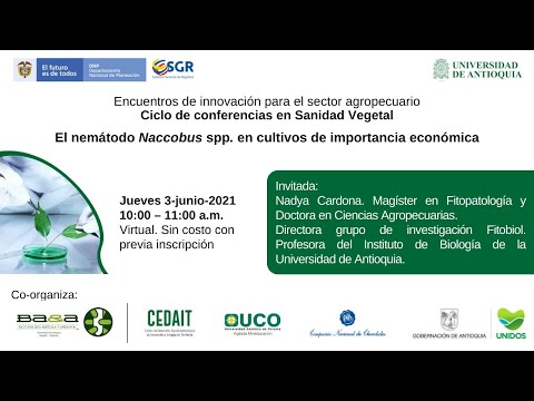 Video: ¿Qué son los nematodos agalladores falsos de la espinaca? - Cómo controlar los nematodos agalladores falsos de la espinaca