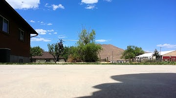 Align Trex 450se V2 Hover