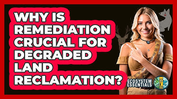 Why Is Remediation Crucial For Degraded Land Reclamation? - Ecosystem Essentials