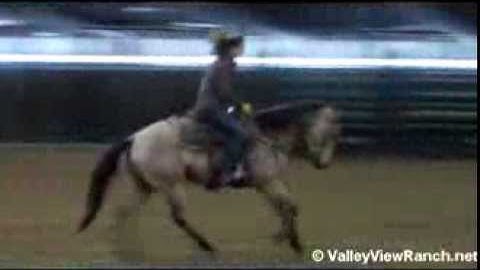 Gay Dandy Bars    ***For info, price, etc., go to our website***  Valley View Ranch