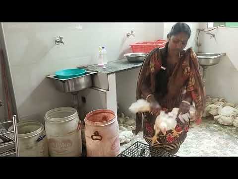 Women slaughter chicken for Shop 🐔