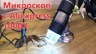 Микроскоп с Aliexpress 1000X - Обзор! Муравьи под микроскопом!