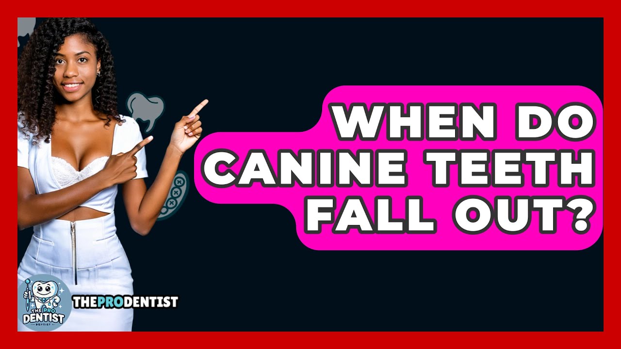 When Do Canine Teeth Fall Out The Pro Dentist YouTube when-do-canine-teeth-fall-out-the-pro-dentist-youtube