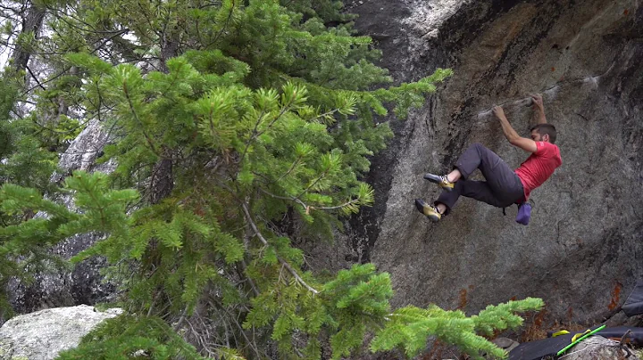 Connor Griffith rediscovers an unnamed gem in the ...