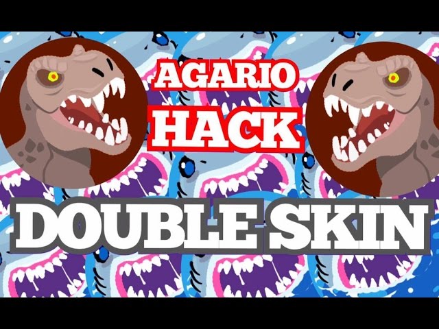 agar.io - How do you change to a double skin in agario? - Arqade