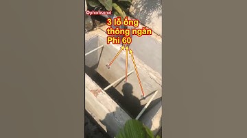 Hồ cá koi bị lỗi do ống thông ngăn lọc quá bé #hocakoi #Shorts