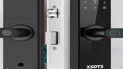 Tuya Wifi Electronic Smart Door Lock With Biometric Fingerprint / Smart Card / Password / Key Unlock