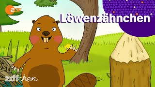 Lied: Unsere eigene Welt! | LÖWENZÄHNCHEN | ZDFchen