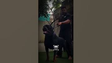 Power Of Transformation 💀 Part-1