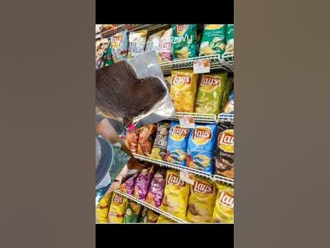 Типичный день капибары😂🤣 #recommended #subscribe #2023 #shorts - YouTube