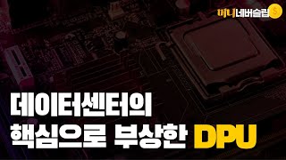 데이터센터의 강력한 프로세서 DPUㅣ반도체 기업들의 DPU 경쟁