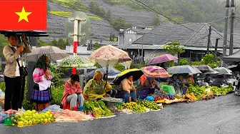 Pha Long Market - Explore  Vietnam's Wild Traditional Market