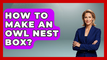 How To Make An Owl Nest Box? - Bird Watching Diaries